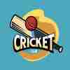 Cricket Commetery Hindi
